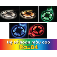 Led dây 3528, 120 led