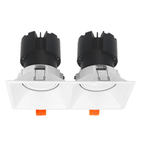 Đèn âm trần 2x12W DL-F9W2x12