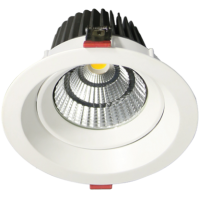 Đèn âm trần 30W DL-SW30
