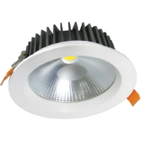 Đèn âm trần 40W DL-RW40