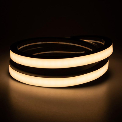 Led Neon