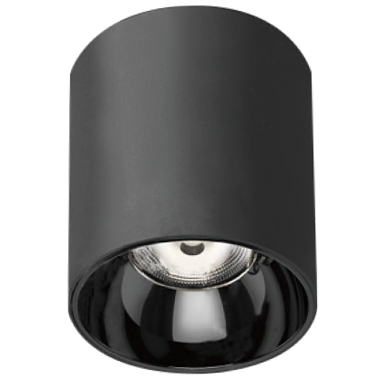 Đèn LED Ốp/Treo trần IP65